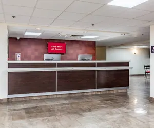 Photo 5 - Red Roof Inn PLUS+ & Suites Houston - IAH Airport SW