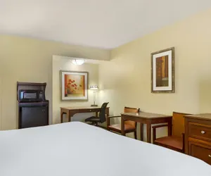 Photo 5 - Best Western McAllen Medical Center