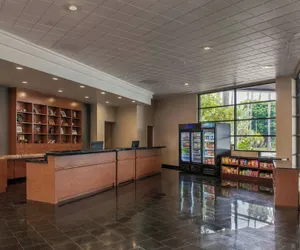 Photo 5 - Four Points by Sheraton San Diego
