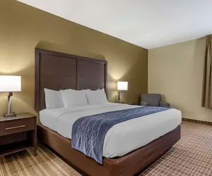 Photo 4 - Comfort Inn St. Robert / Fort Leonard Wood