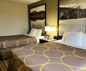 Photo 2 - Super 8 by Wyndham Gas City Marion Area