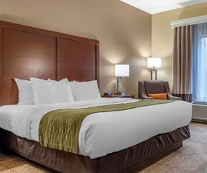 Photo 3 - Comfort Inn Duncansville - Altoona