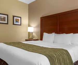 Photo 5 - Comfort Inn Duncansville - Altoona
