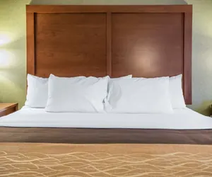 Photo 5 - Comfort Inn