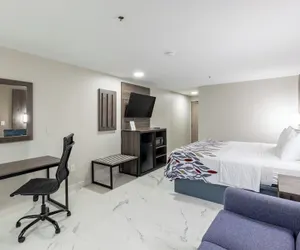 Photo 5 - Red Roof Inn Pharr - McAllen