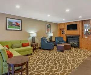 Photo 4 - Comfort Inn & Suites North Dallas - Addison