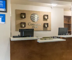 Photo 5 - Comfort Inn N Myrtle Beach Barefoot Landing
