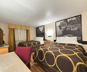 Photo 5 - Super 8 by Wyndham Anderson/Clemson Area