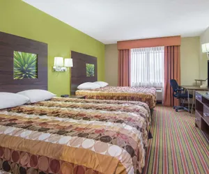 Photo 5 - Super 8 by Wyndham Portales