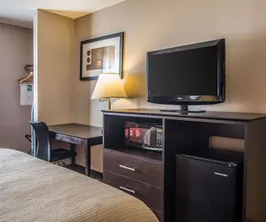 Photo 5 - Quality Inn & Suites