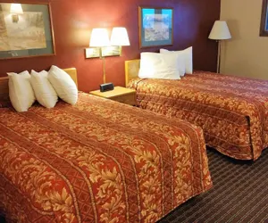 Photo 5 - Red Carpet Inn
