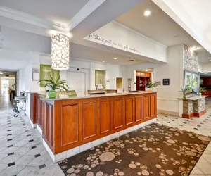 Photo 4 - Hilton Garden Inn Tampa North Busch Gardens
