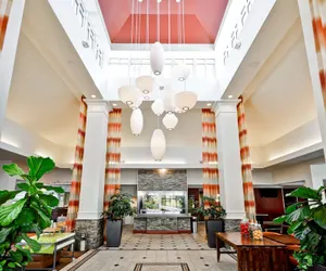 Photo 3 - Hilton Garden Inn Tampa North Busch Gardens