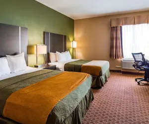 Photo 4 - Best Western Plus North Houston Inn & Suites
