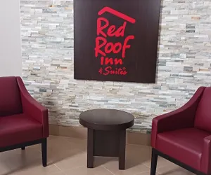 Photo 3 - Red Roof Inn & Suites Jackson - Richland