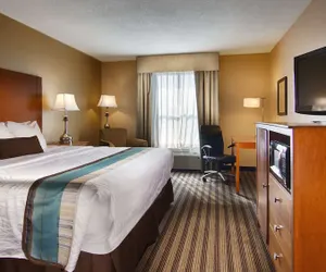 Photo 2 - Best Western Plus Seawall Inn & Suites By The Beach