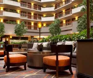 Photo 4 - Embassy Suites by Hilton Austin Arboretum