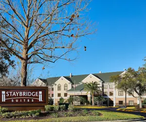 Photo 2 - Staybridge Suites Orlando Airport South by IHG