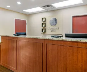 Photo 5 - Comfort Inn International Dr.