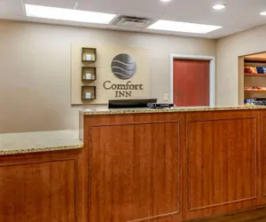 Photo 4 - Comfort Inn International Dr.