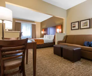 Photo 5 - Comfort Suites Rochester Henrietta University Area