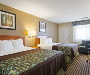 Photo 5 - Best Western Windsor Inn
