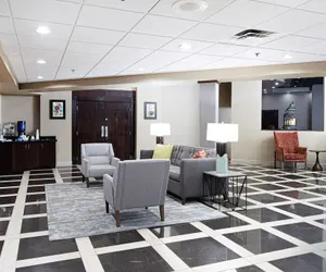 Photo 3 - Holiday Inn St. Louis Arpt West-Earth City by IHG