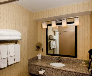 Photo 5 - Holiday Inn St. Louis Arpt West-Earth City by IHG