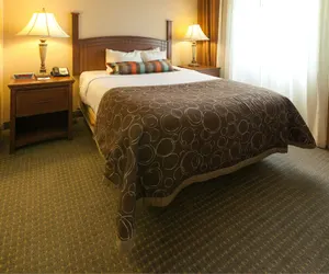 Photo 4 - Staybridge Suites Lubbock - University Area, an IHG Hotel