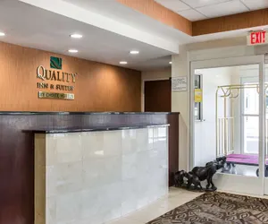 Photo 5 - Quality Inn & Suites Danbury near University