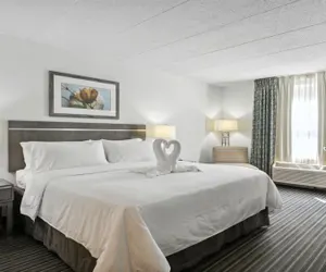 Photo 4 - Holiday Inn Express Williamsburg North, an IHG Hotel