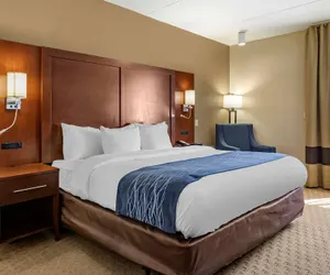 Photo 5 - Comfort Inn Detroit/Warren Sterling Heights