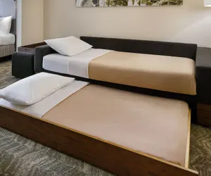 Photo 5 - SpringHill Suites by Marriott Raleigh-Durham Airport/Research Triangle Park
