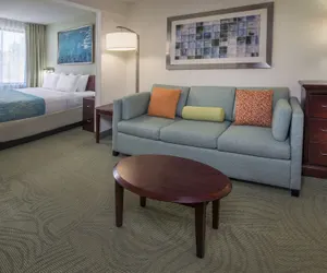 Photo 5 - SpringHill Suites by Marriott Raleigh-Durham Airport/Research Triangle Park