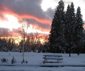 Photo 3 - Westhaven Inn Pollock Pines