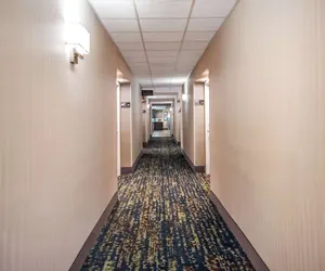 Photo 4 - Hampton Inn Winter Haven