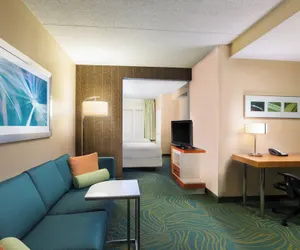 Photo 5 - SpringHill Suites by Marriott Austin South