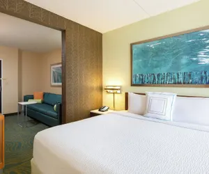 Photo 4 - SpringHill Suites by Marriott Austin South