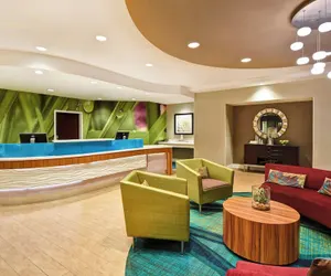 Photo 4 - SpringHill Suites by Marriott Baltimore BWI Airport