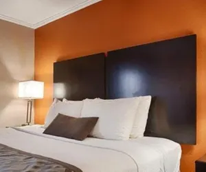 Photo 3 - Best Windsor Inn