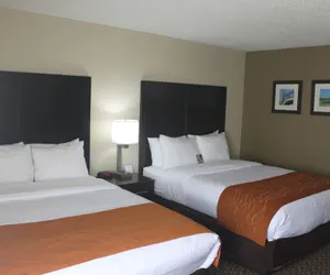 Photo 3 - Spark by Hilton Matteson Chicago I 57