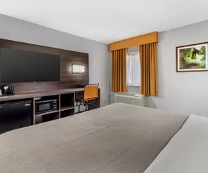 Photo 5 - Quality Inn & Suites Raleigh Durham Airport