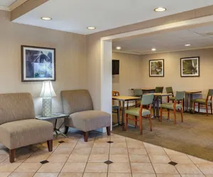 Photo 4 - Quality Inn & Suites Raleigh Durham Airport