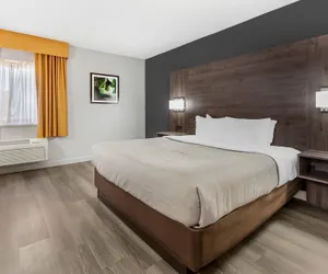 Photo 4 - Quality Inn & Suites Raleigh Durham Airport