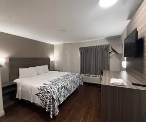 Photo 4 - Red Roof Inn Austin - Round Rock