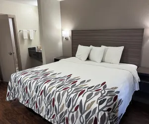 Photo 3 - Red Roof Inn Austin - Round Rock