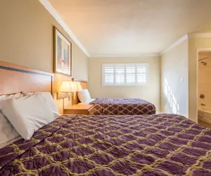 Photo 5 - SOMA Park Inn – Civic Center