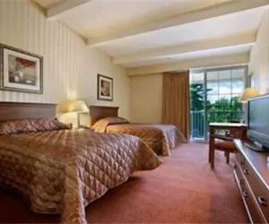 Photo 5 - HomeSpring Inn & Studios
