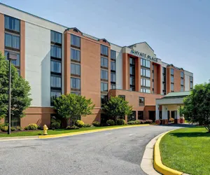 Photo 2 - Hyatt Place Baltimore/BWI Airport