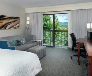 Photo 2 - Courtyard by Marriott Asheville